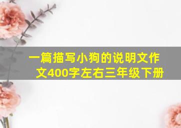 一篇描写小狗的说明文作文400字左右三年级下册