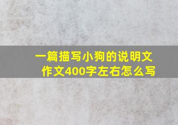 一篇描写小狗的说明文作文400字左右怎么写