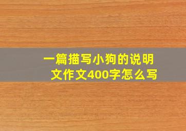 一篇描写小狗的说明文作文400字怎么写