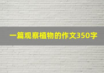 一篇观察植物的作文350字