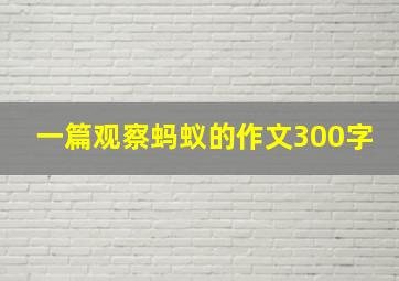 一篇观察蚂蚁的作文300字