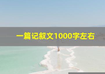 一篇记叙文1000字左右