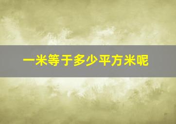 一米等于多少平方米呢