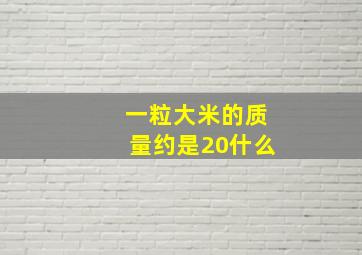 一粒大米的质量约是20什么