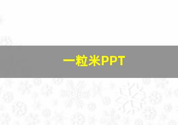 一粒米PPT