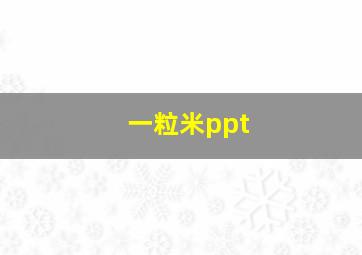 一粒米ppt