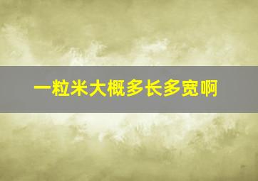 一粒米大概多长多宽啊