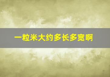 一粒米大约多长多宽啊