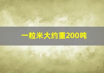 一粒米大约重200吨