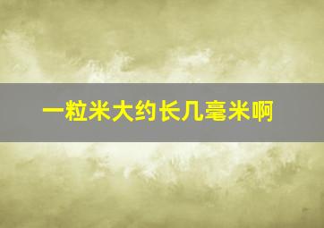 一粒米大约长几毫米啊