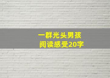 一群光头男孩阅读感受20字