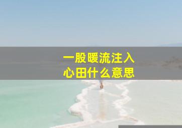 一股暖流注入心田什么意思