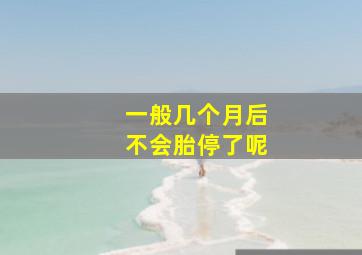 一般几个月后不会胎停了呢