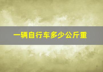 一辆自行车多少公斤重