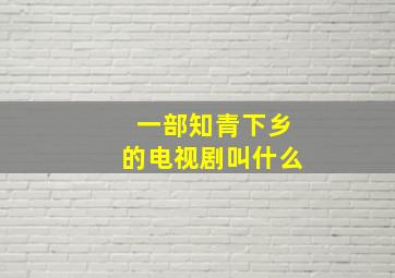 一部知青下乡的电视剧叫什么