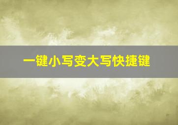 一键小写变大写快捷键