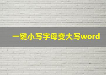 一键小写字母变大写word