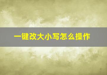 一键改大小写怎么操作