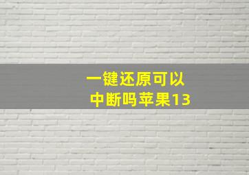 一键还原可以中断吗苹果13