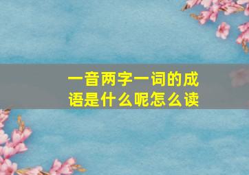 一音两字一词的成语是什么呢怎么读