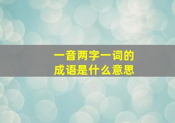 一音两字一词的成语是什么意思