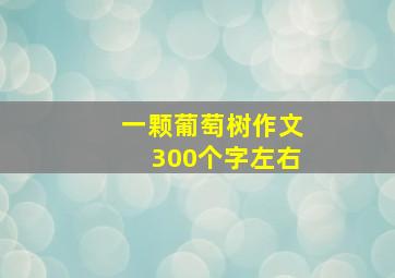 一颗葡萄树作文300个字左右