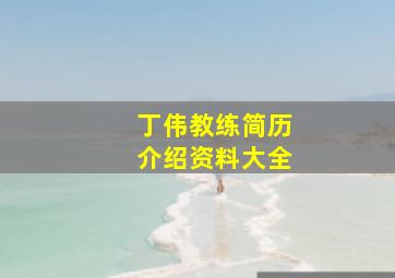 丁伟教练简历介绍资料大全