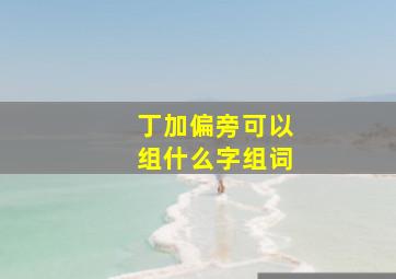 丁加偏旁可以组什么字组词