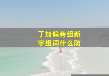 丁加偏旁组新字组词什么防