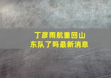 丁彦雨航重回山东队了吗最新消息