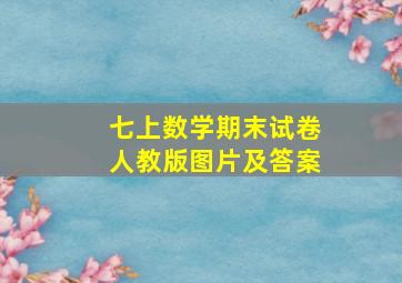 七上数学期末试卷人教版图片及答案