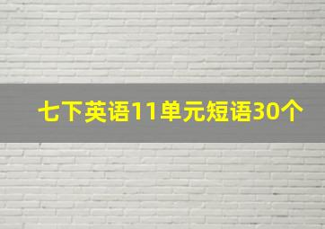 七下英语11单元短语30个