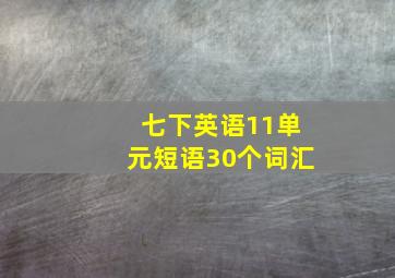 七下英语11单元短语30个词汇