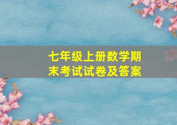 七年级上册数学期末考试试卷及答案