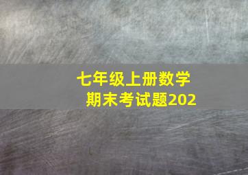 七年级上册数学期末考试题202