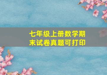 七年级上册数学期末试卷真题可打印