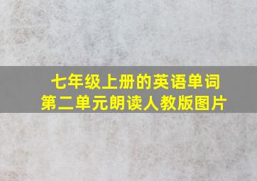 七年级上册的英语单词第二单元朗读人教版图片