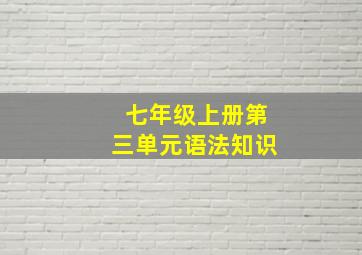 七年级上册第三单元语法知识