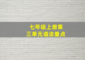 七年级上册第三单元语法重点