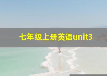 七年级上册英语unit3