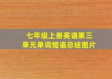 七年级上册英语第三单元单词短语总结图片