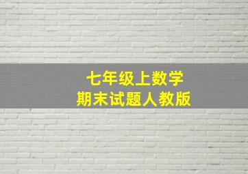 七年级上数学期末试题人教版