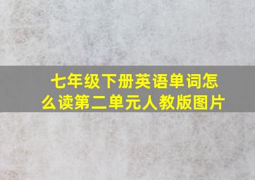 七年级下册英语单词怎么读第二单元人教版图片