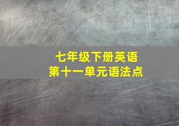 七年级下册英语第十一单元语法点