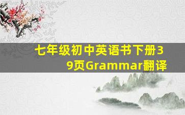 七年级初中英语书下册39页Grammar翻译