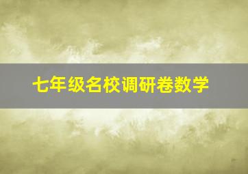 七年级名校调研卷数学