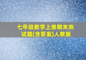 七年级数学上册期末测试题(含答案)人教版