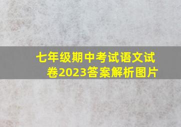 七年级期中考试语文试卷2023答案解析图片