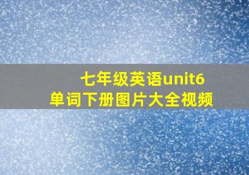 七年级英语unit6单词下册图片大全视频