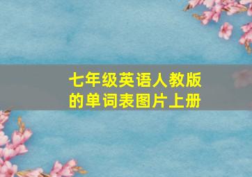 七年级英语人教版的单词表图片上册